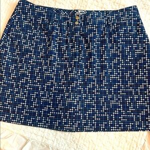 Stylish Blue and White Women's Skirt